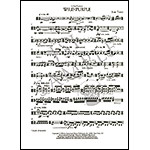 Wild Purple for solo viola by Joan Tower (Associated Music Publishers)