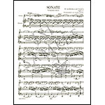 Sonata No. 5 in F Major, Op.24 'Spring', for violin and piano; Ludwig van Beethoven