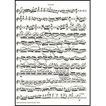 Concerto in D Major, Op. 77, with  Otakar Sevcik Studies; Johannes Brahms (Lauren Keiser Music)