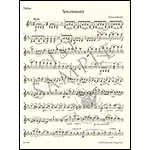 Sonatensatz/Scherzo Movement in C Minor from the F.A.E. Sonata for violin and piano (urtext); Johnannes Brahms (Barenreiter)