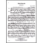 The Jascha Heifetz Collection, Volume 1, violin transcriptions & cadenzas with piano (Carl Fischer)