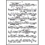 in the snowy margins for solo violin; Michael Hersch (Theodore Presser)