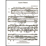 The Fritz Kreisler Collection, volume 1, for violin and piano; Various (Carl Fischer)