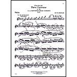 Cadenzas to Beethoven Violin Concerto Op.61; Fritz Kreisler (Carl Fischer)