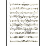 Concerto No. 3 in G Major, K.216, for violin and piano (urtext); Wolfgang Amadeus Mozart
