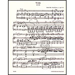 Sonatas for piano and violin, Volume 3,  Late Viennese (urtext); Wolfgang Amadeus Mozart (Barenreiter)