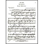 Introduction & Rondo Capriccioso, Op. 28, violin; Camille Saint Saens (G. Schirmer)