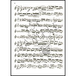 Concerto in D Minor, violin and piano; Robert Schumann (Schott Editions)