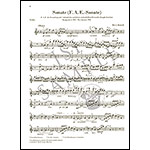 FAE Sonata in A minor for violin and piano (urtext); Robert Schumann, Johannes Brahms, and Albert Dietrich