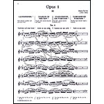 School of Violin Technics, Op. 1, Part 3, violin;  Otakar Sevcik (Bosworth)