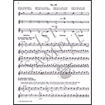 School of Bowing Technique, Op. 2, Part 3, violin;  Otakar Sevcik (Bosworth)