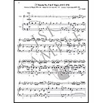 Suzuki Violin School, Volume 6, Piano accompaniment - International Edition