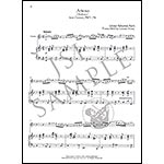 Wedding Music For Classical Players, violin and piano with online audio access (Hal Leonard)