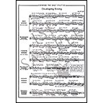 Preparing for Kreutzer, book 1, violin; Harvey Whistler (Rubank)