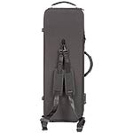 Bam Stylus 5141SN Oblong 16 3/8" Black Viola Case