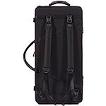 Bam Classic 2006SN Combination Violin/Viola Case, Black