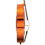 Gaetano and Mario Gadda cello, Mantua 1953