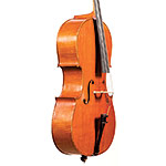 Gaetano and Mario Gadda cello, Mantua 1953