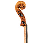 Giulio Degani cello, Venice late 19th century