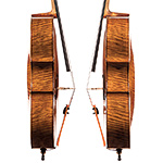 Giulio Degani cello, Venice late 19th century