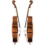 Giulio Degani cello, Venice late 19th century