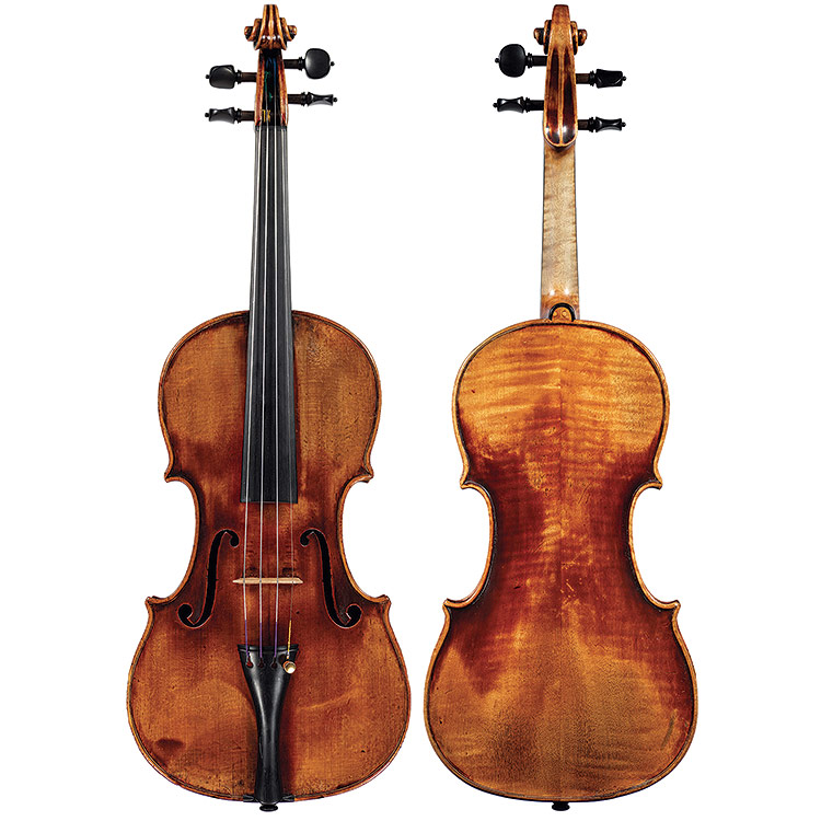 Featured Violin Violin