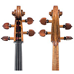 Giovanni Battista Genova cello, Turin circa 1770
