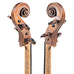 David Tecchler cello, Rome early 18th century