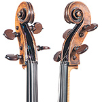 David Tecchler cello, Rome early 18th century