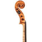 Carl G. Becker cello, Chicago 1925