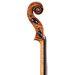 Benjamin Banks cello, Salisbury 1757