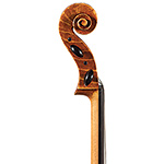 Andrew Carruthers cello, Santa Rosa 2024