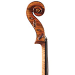 Frank Ravatin cello, 2005