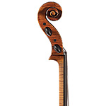 Ragnar Hayn cello, Berlin no. 216