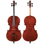 Peter Goodfellow cello, Sydney 2016