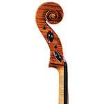 Dailey workshop Carcassi model cello no.111, 2021