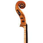 Robin Aitchison cello, Ely 2009