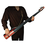 NS Design NXT4a Omni Bass, Sunburst