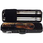 Realist RV-5 E Series Acoustic Electric 5-String Violin