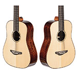 Echo Bridge EB250 1/2 Dreadnought Guitar, Solid Spruce Top with Nylon Strings and Hard Case