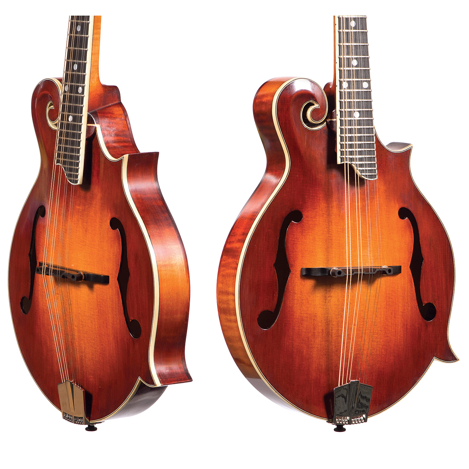 stringed instruments