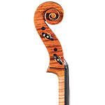 Raymond Melanson cello, Rochester, MA 2021
