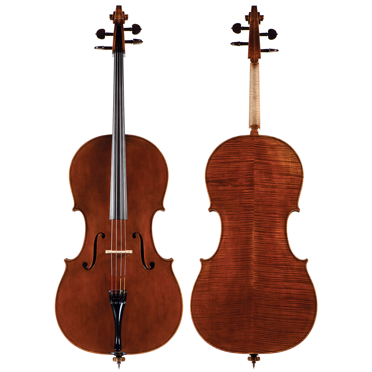 Andrea Varazzani cello, Cremona 2025 | Johnson String Instrument
