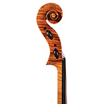 Arie Werbrouck cello no. 119, Brussels 2026