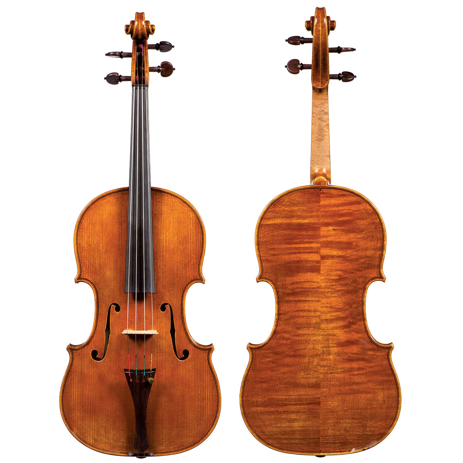 Featured Viola Featured Viola image