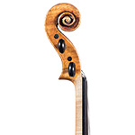16 3/8" Catalin Quercinola viola, Eudora, KS 2018