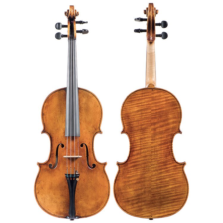 16 3/8" Catalin Quercinola viola, Eudora, KS 2018