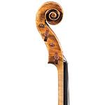 15 1/2" Andrew Ryan viola, Providence 2013