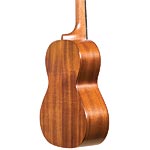 Cordoba 20TM Tenor Ukulele