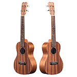 Cordoba Concert Ukulele Player Pack